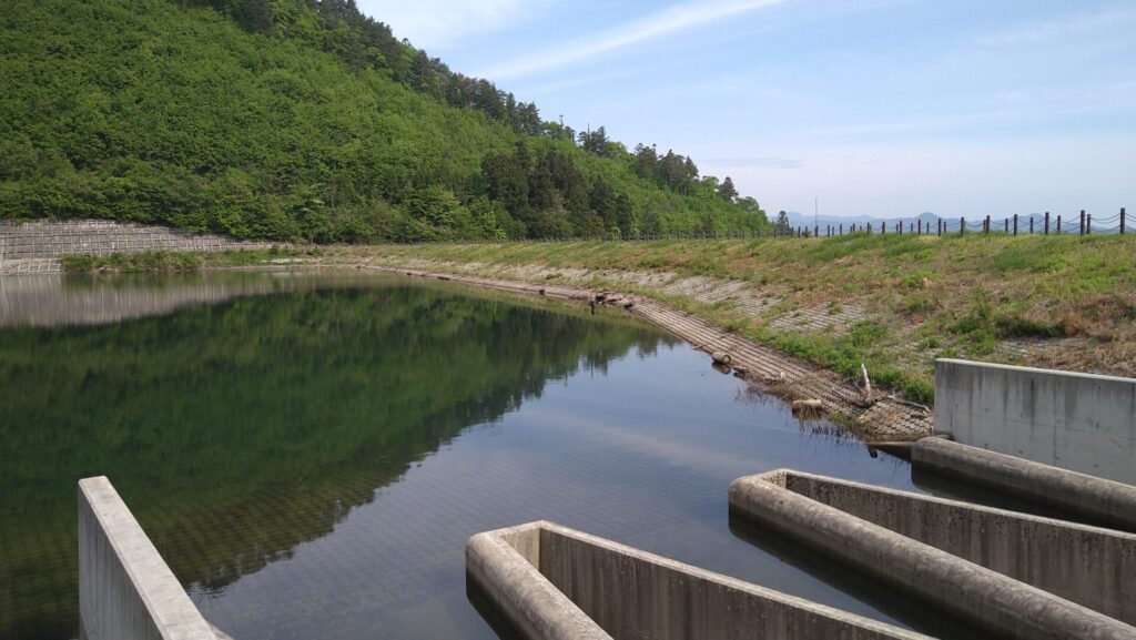 松沢溜池の上流側