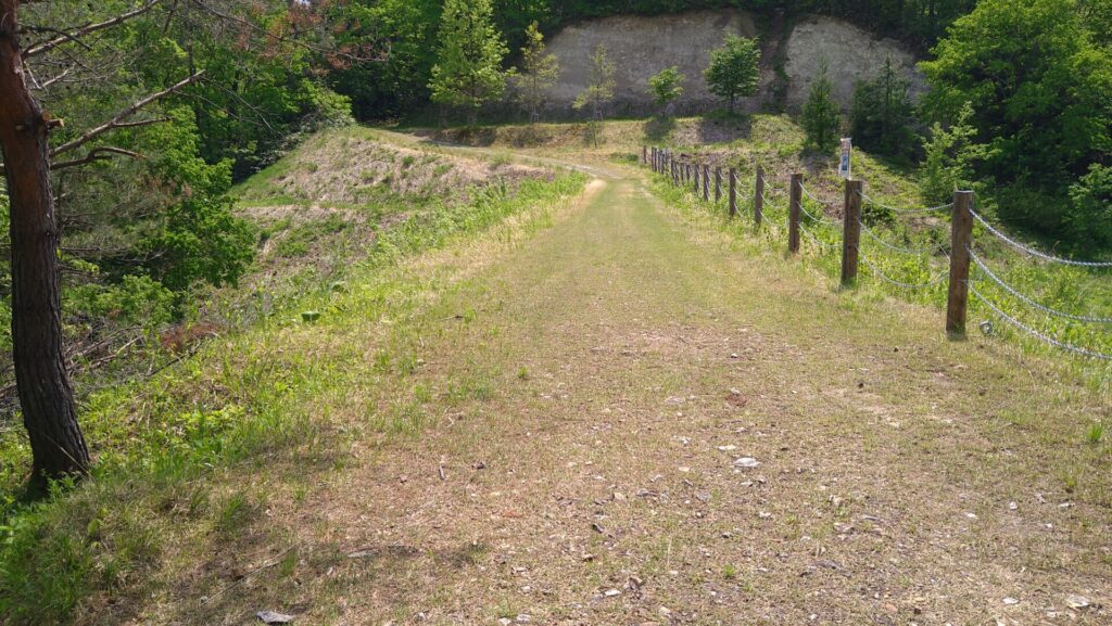 左岸から見た楯山溜池