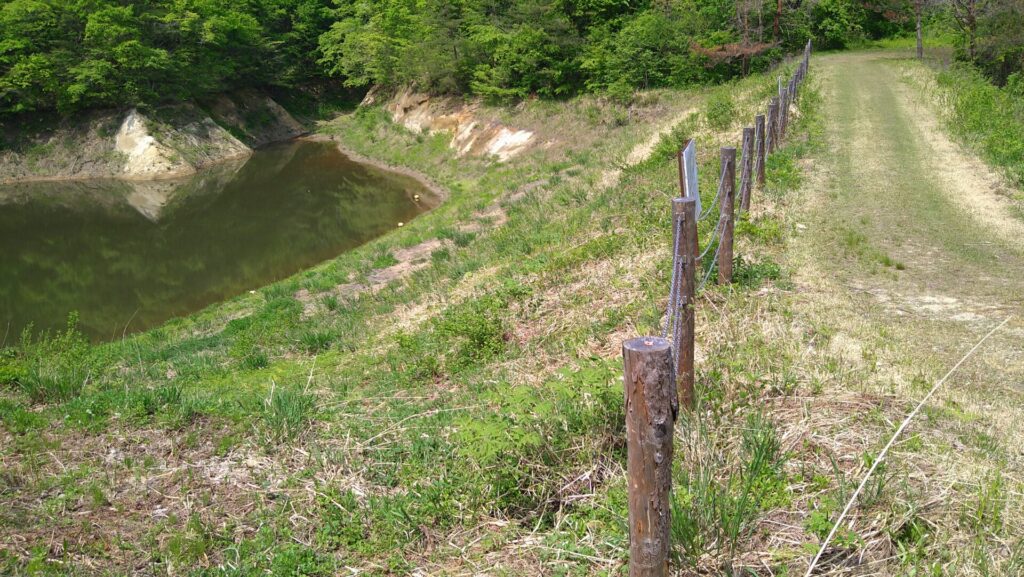 楯山溜池の上流側