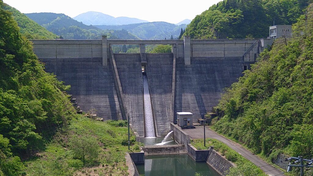 下流側から見た留山川ダム