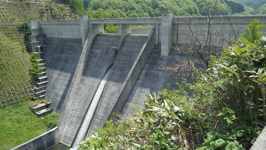 左岸から見た留山川ダム