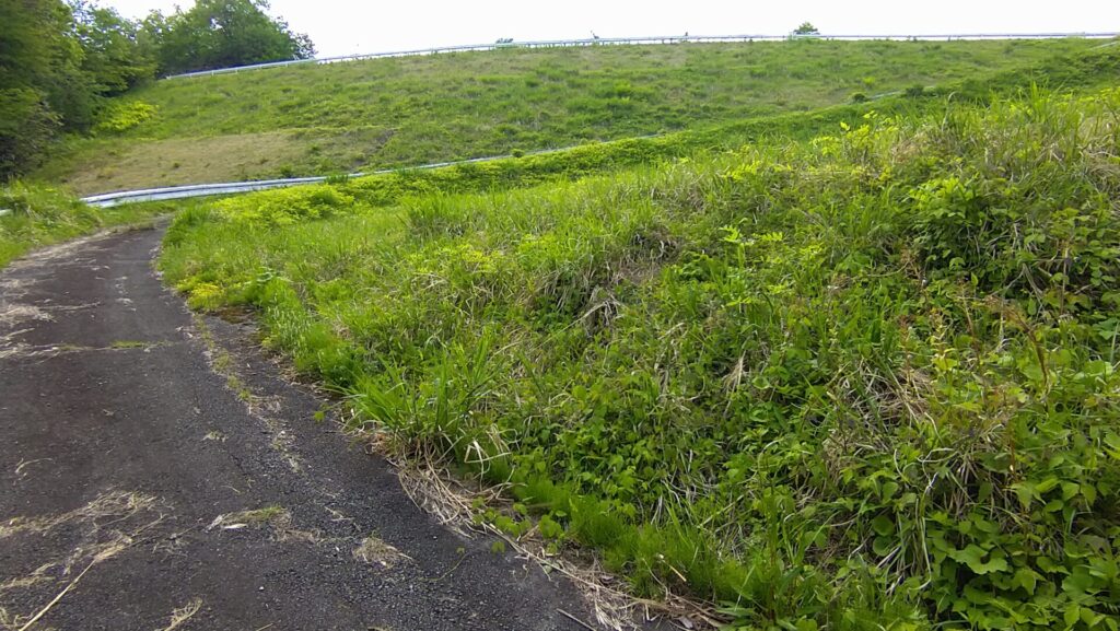 下流側から見た馬神溜池