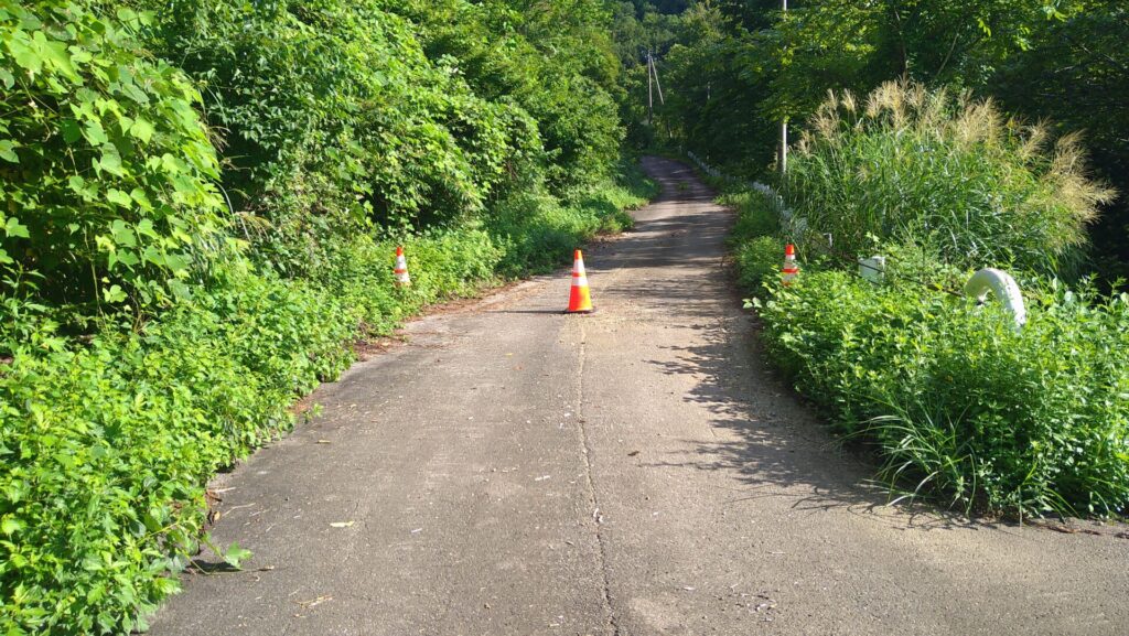破間川ダムのダム下につづく道