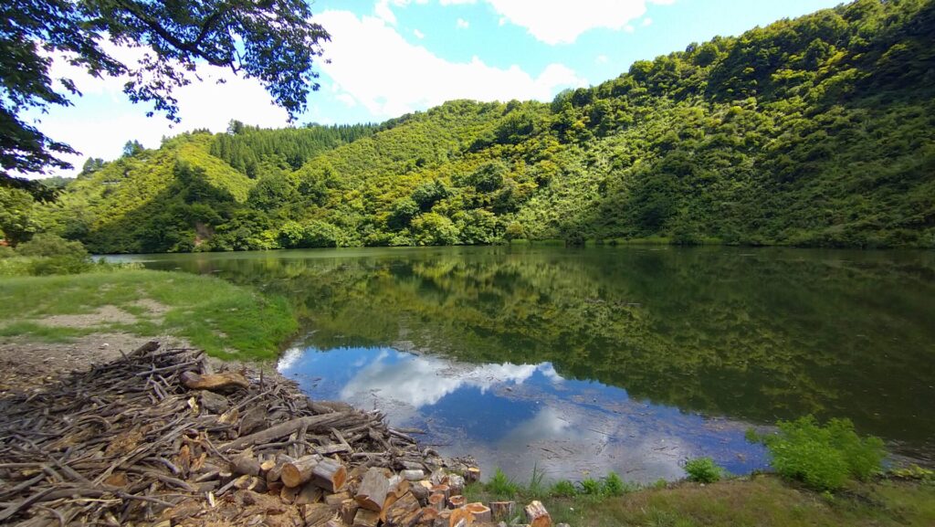薮神ダムのダム湖