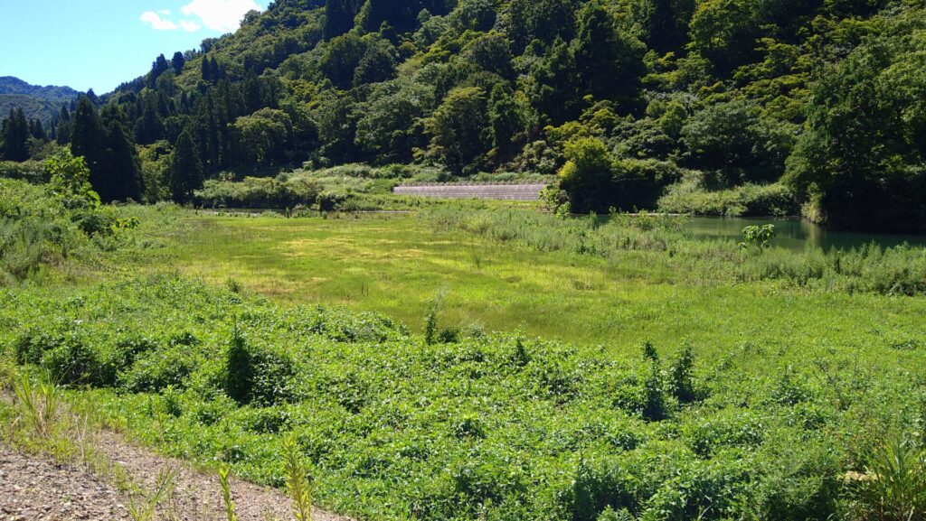 湯之谷ダムのダム湖