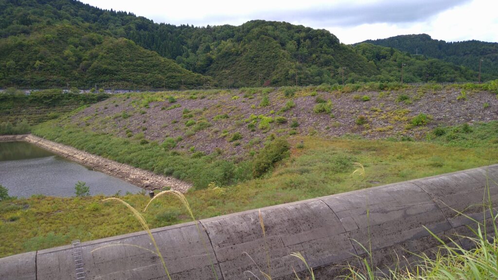 右岸の上流側から見た大谷ダム