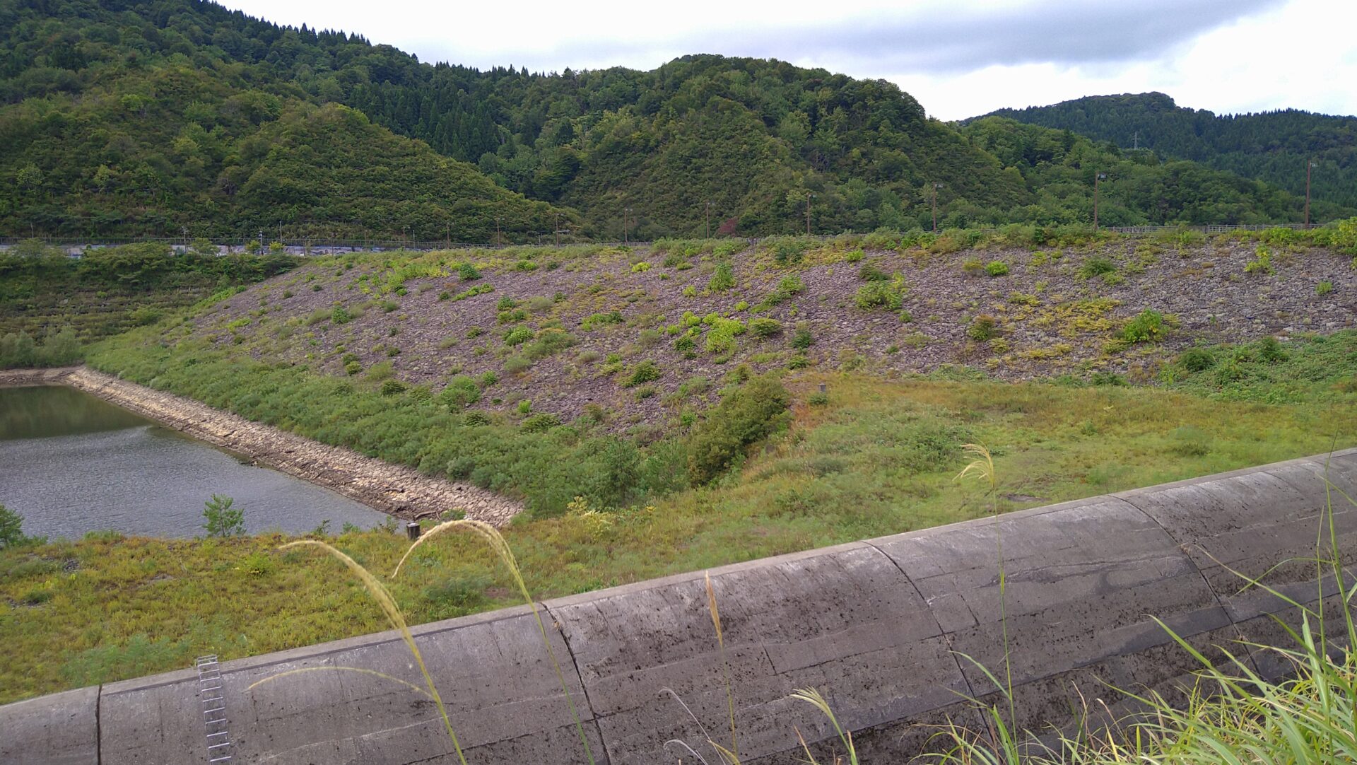 大谷ダム（新潟県）