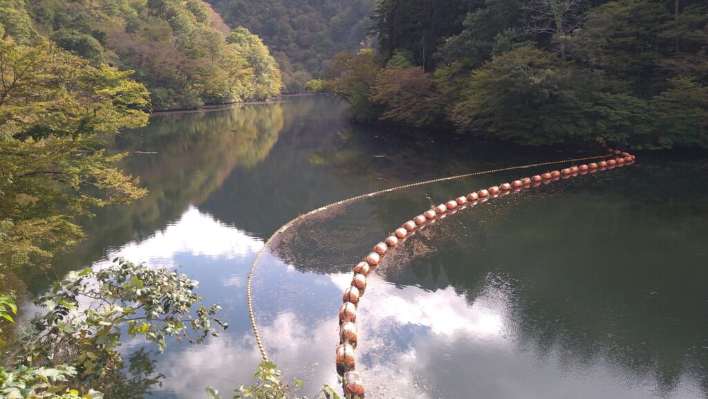 胎内第二ダムのダム湖