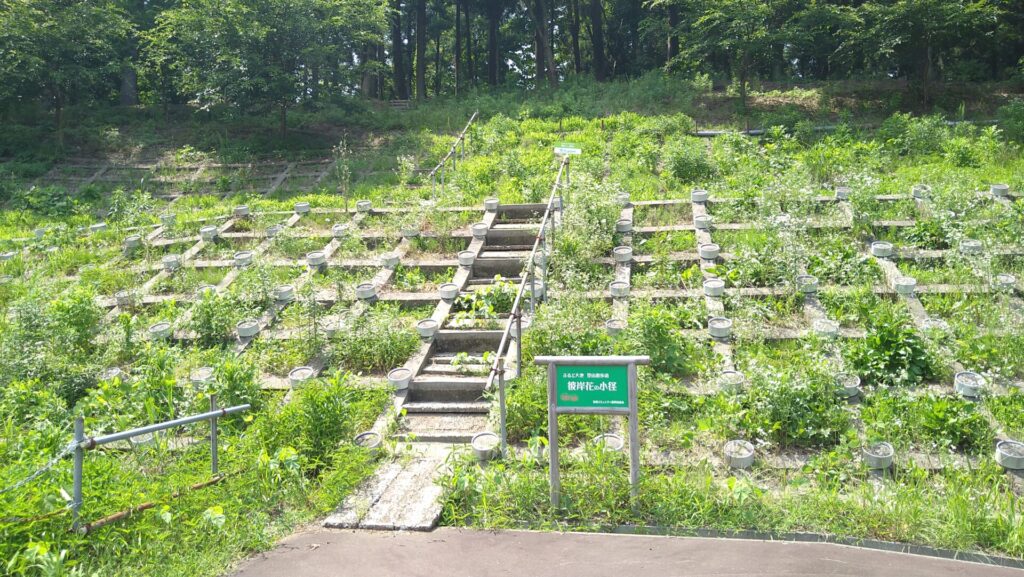ふるど大池の高台