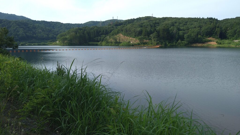 市野新田ダムのダム湖