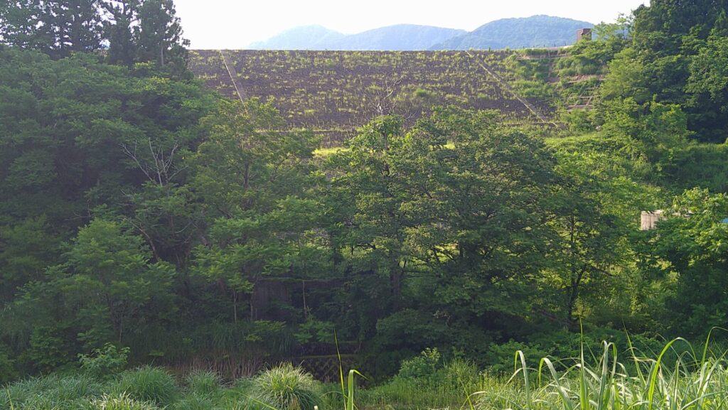 市野新田ダムの堤体