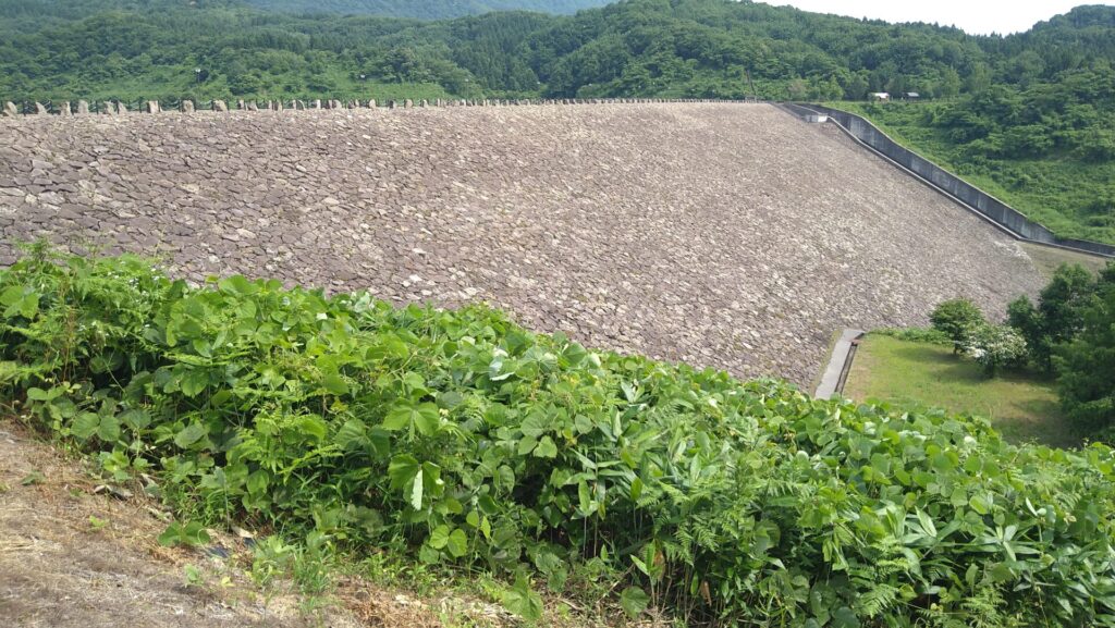 右岸の下流側から見た柿崎川ダム