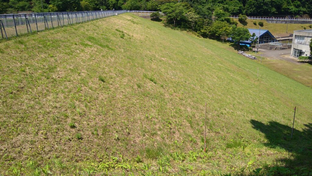 右岸から見た川内ダム