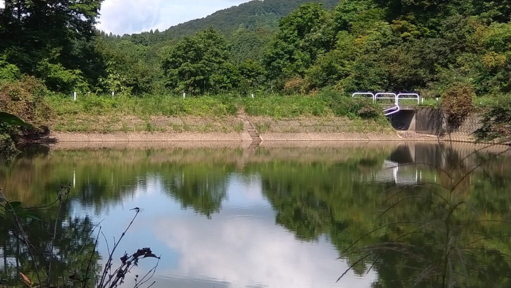 上流側から見た大芳賀ダム