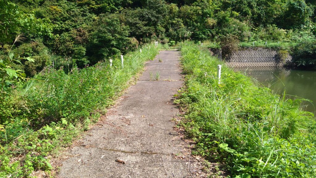 大芳賀ダムの天端
