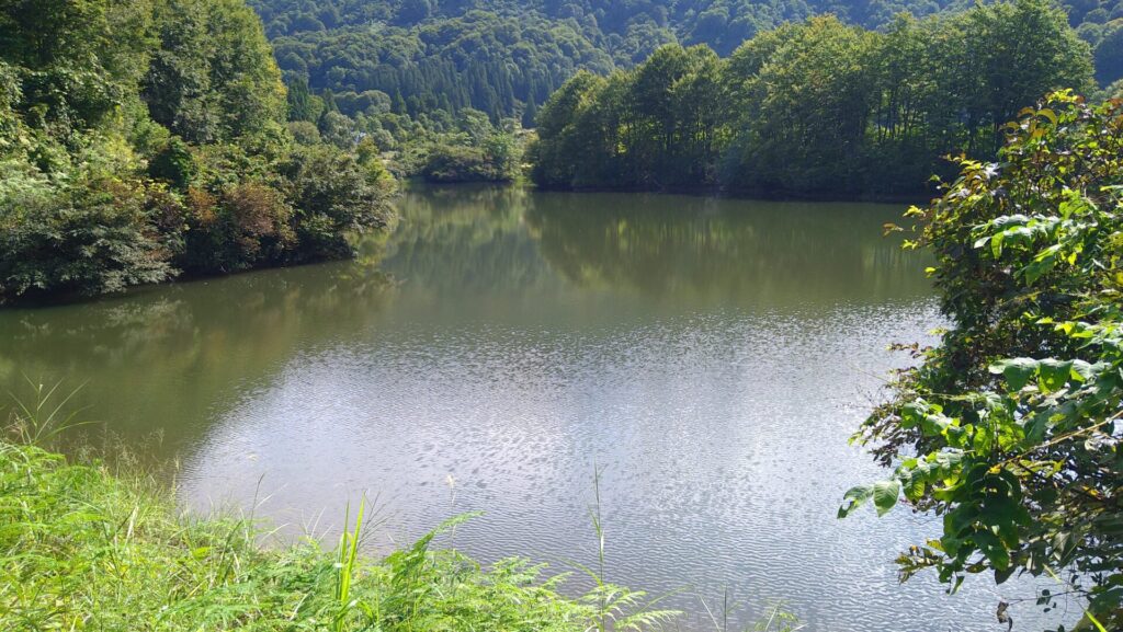 大芳賀ダムのダム湖の風景