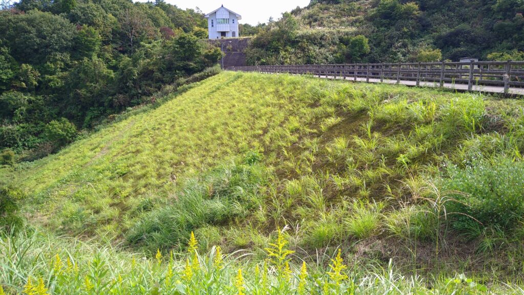 左岸の下流側から見た太田ダム