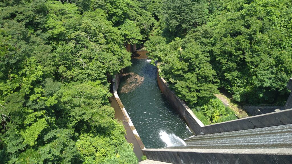 谷根ダムのダム下