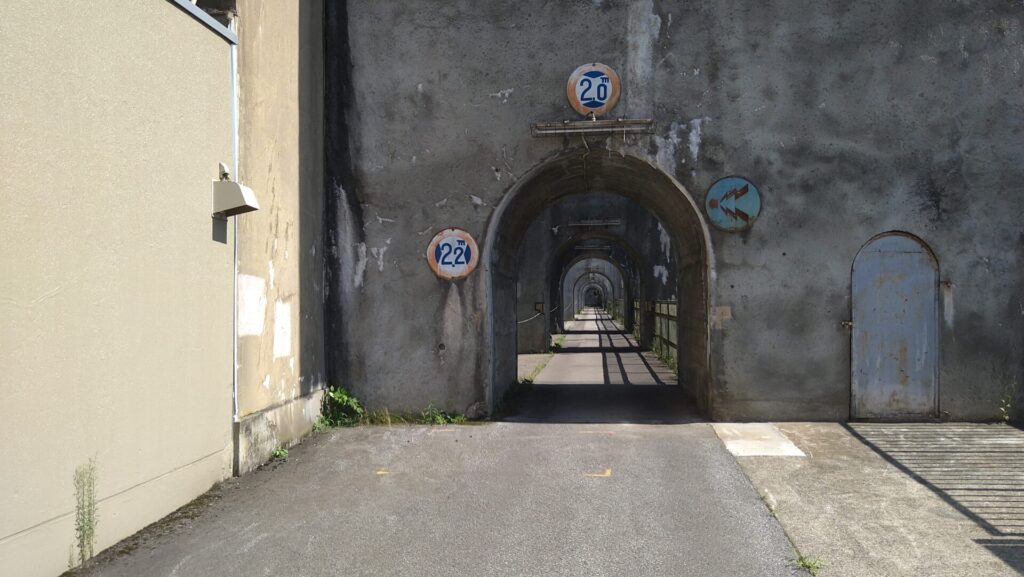 左岸から見た西大滝ダムの天端