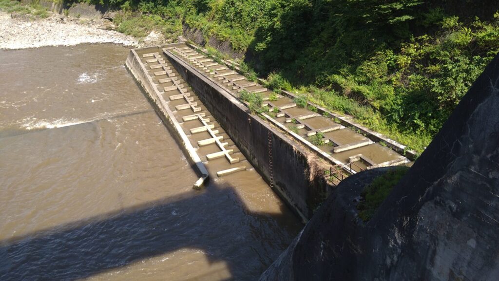 西大滝ダムの魚道