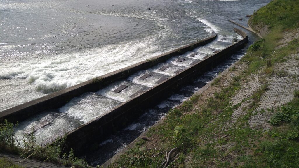右岸にある荒川頭首工の魚道
