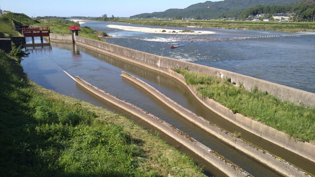 荒川頭首工の左岸取水口の水路