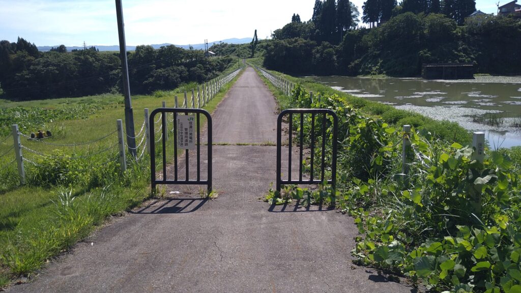 浅河原調整池の天端