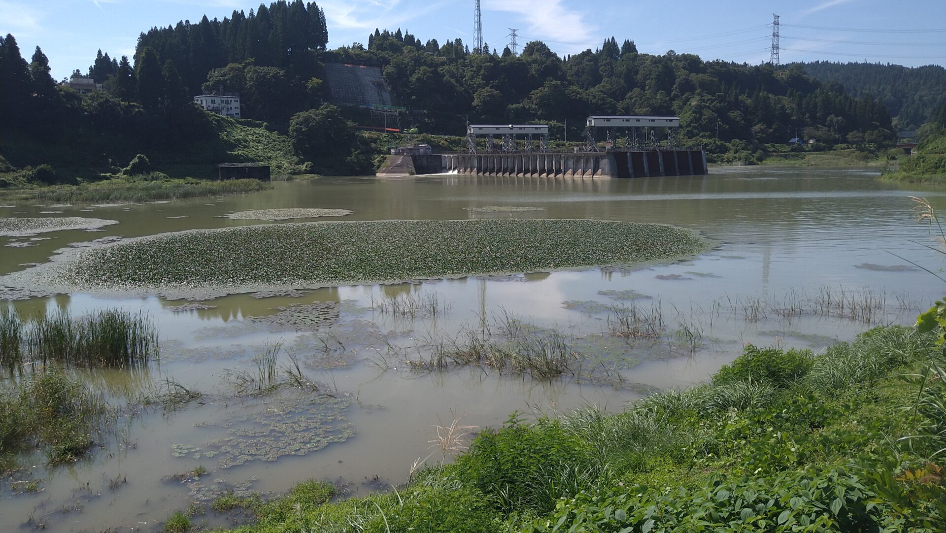 浅河原調整池