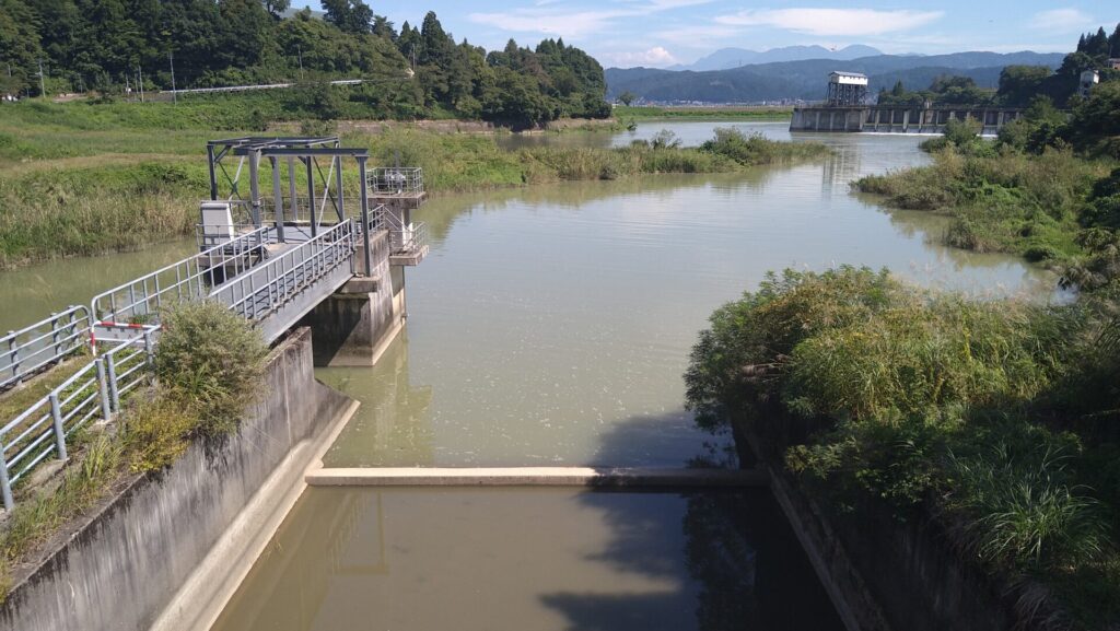 樽沢川のゲートの下流側