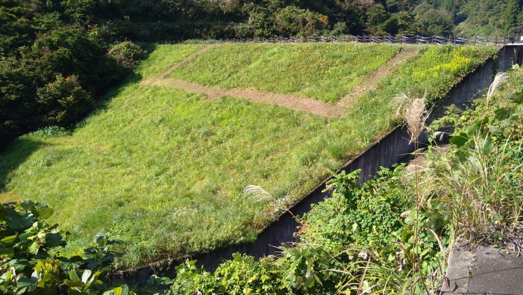 下流側から見た長福寺ダム
