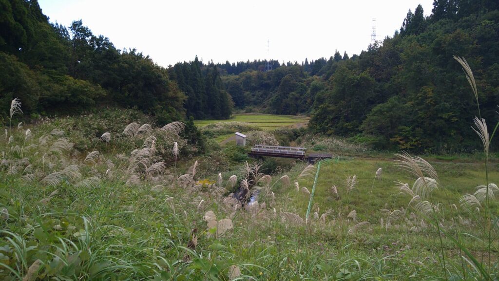 五升苗ダムのダム下