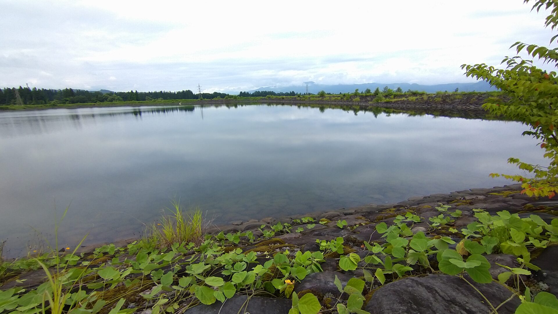 ひばりヶ丘調整池