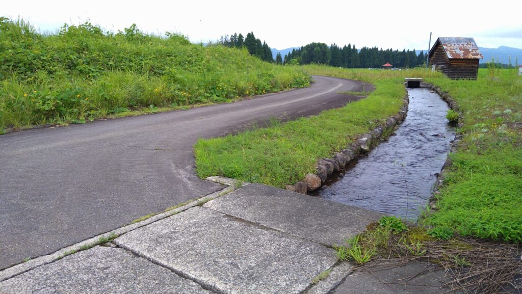ひばりヶ丘調整池のダム湖