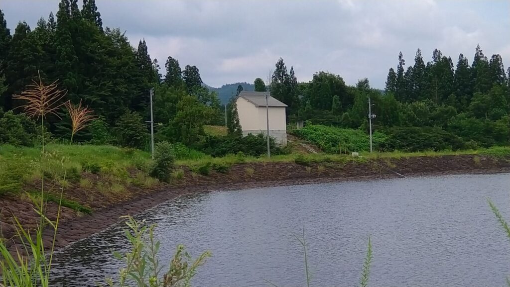 ひばりヶ丘調整池のダム湖