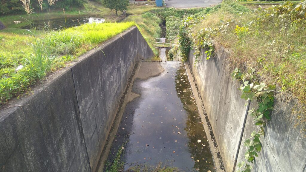 貝の沢池の導流部