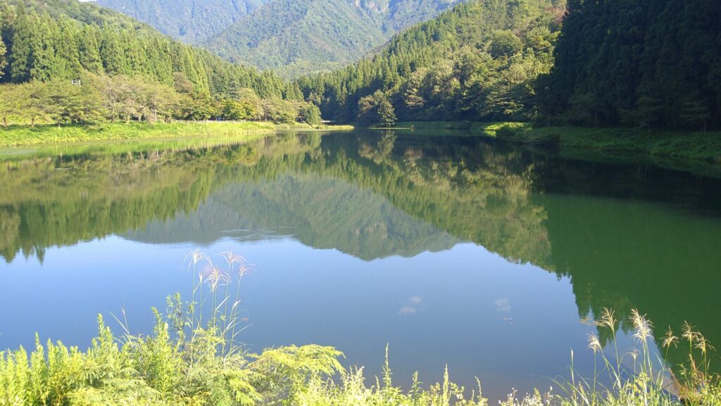 加茂市水道貯水池1号のダム湖