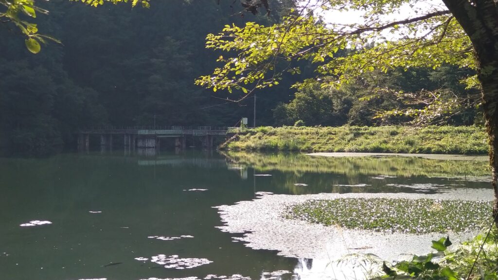 上流側から見た加茂市水道貯水池1号