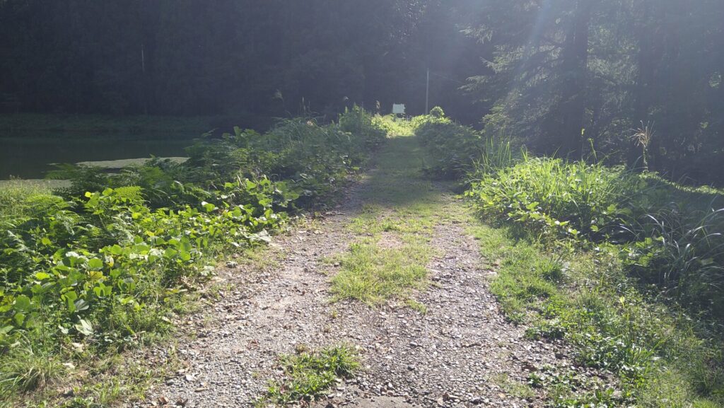 加茂市水道貯水池1号の天端