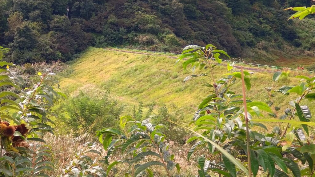 左岸の下流側から見た川西ダム
