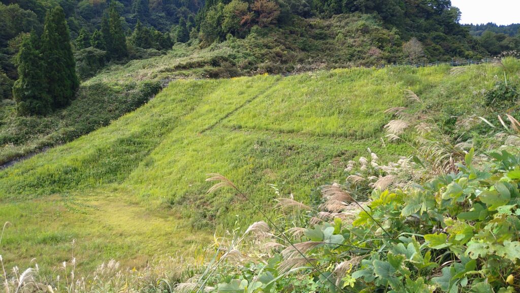 左岸の下流側から見た松葉沢ダム