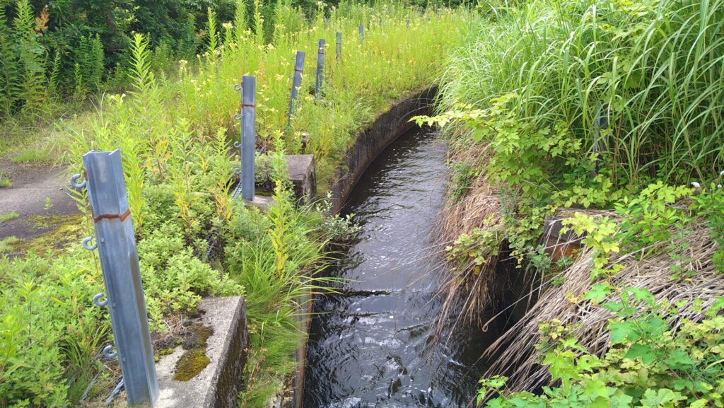 大谷内ダムの水路