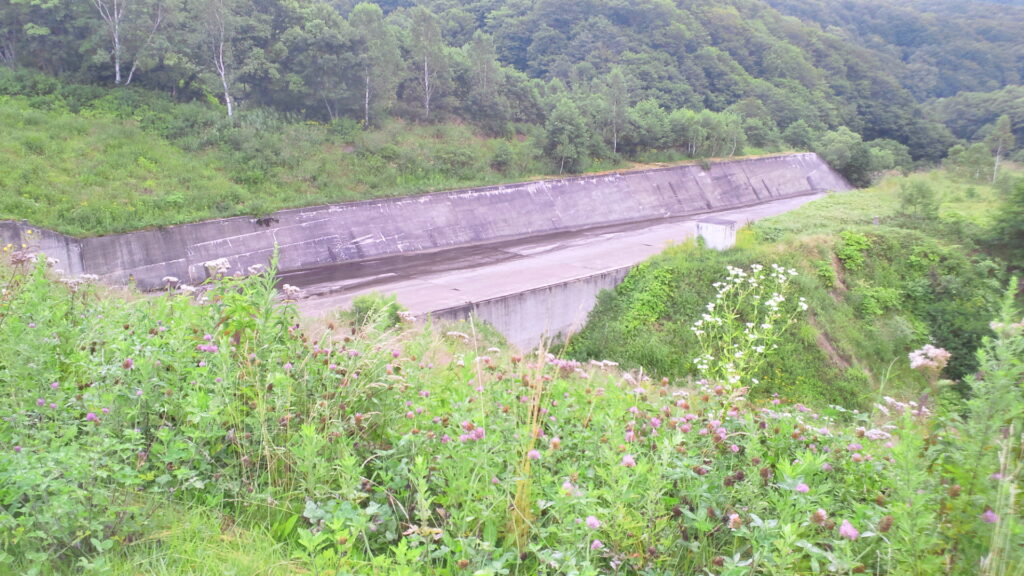 笹ヶ峰ダムの導流部