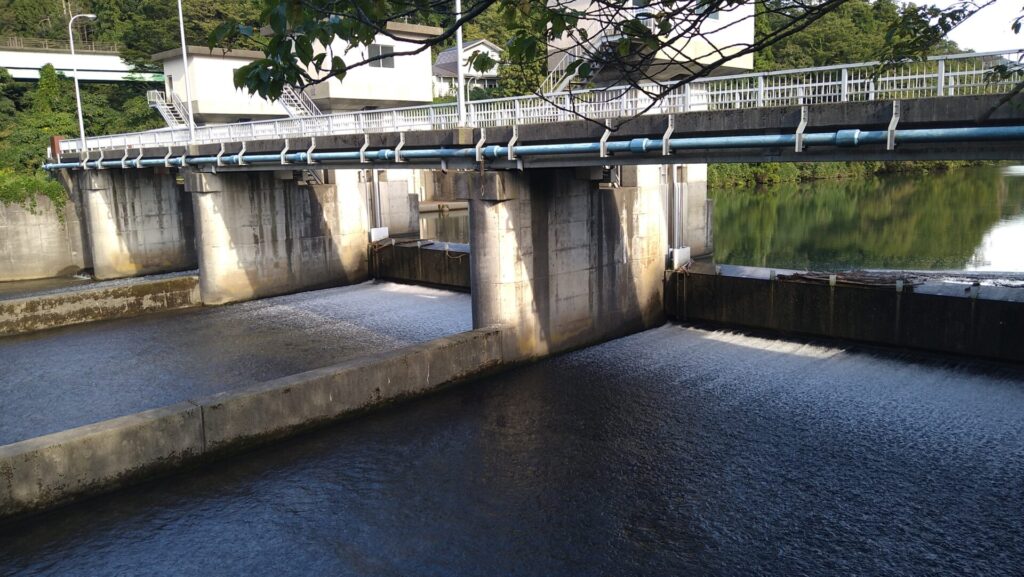 左岸の下流側から見た胎内川頭首工