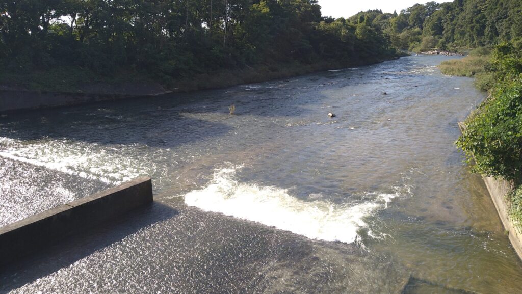 胎内川頭首工の下流側