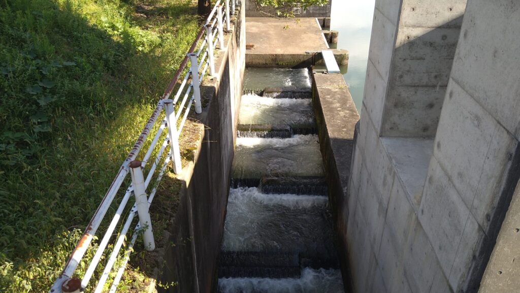 胎内川頭首工の魚道