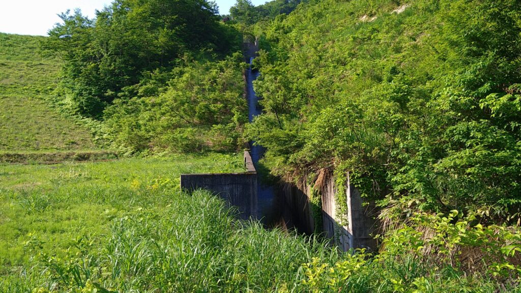 留山ダムの洪水吐