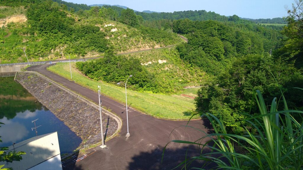 右岸から見た留山ダム