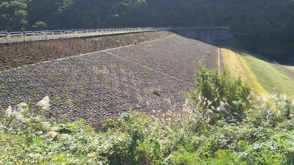 左岸の上流側から見た坪山ダム