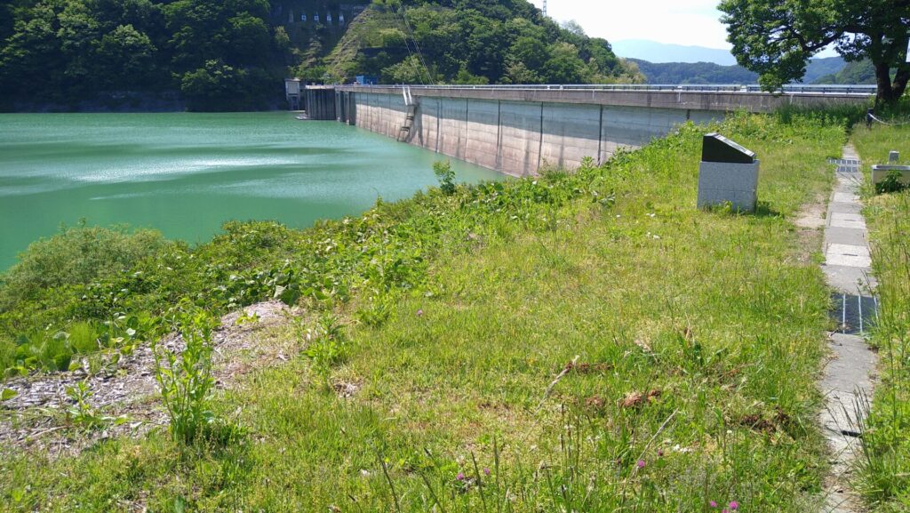 右岸の上流側から見た美和ダム