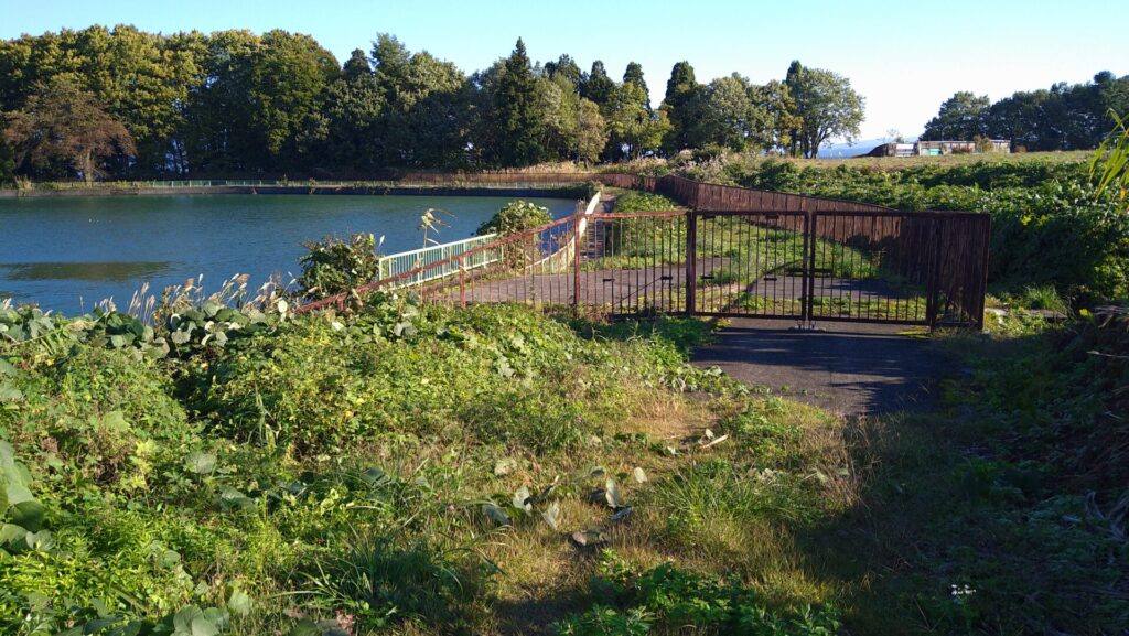 沖ノ原調整池の風景